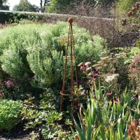 Spaljé Cone Wire Obelisks Rust, large